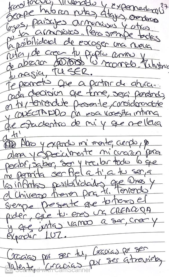 Carta A Mi Yo Del Futuro Andreina Figuera 7225